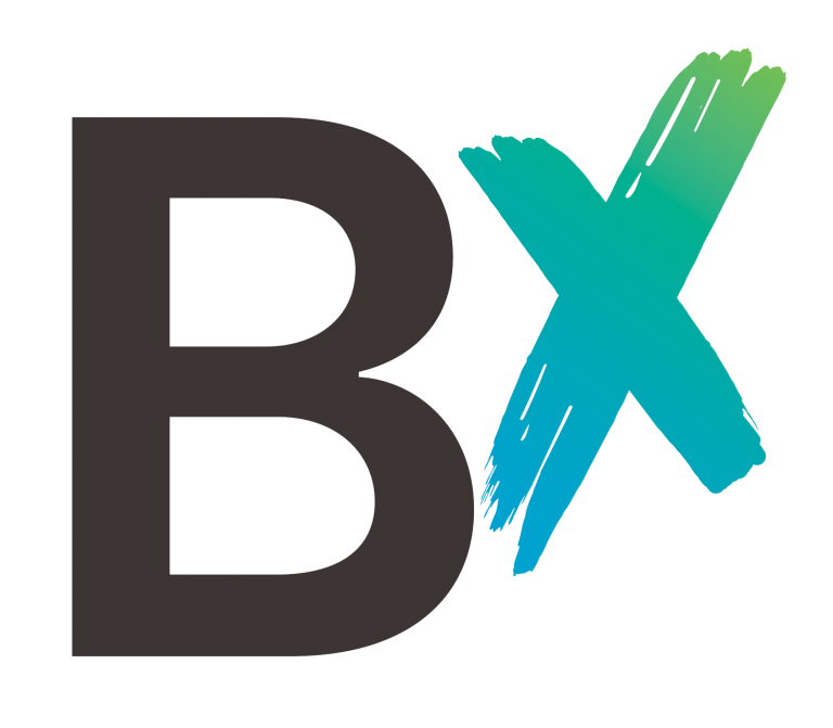 Bx Icon Colour 768x671